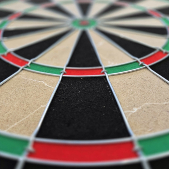 Target Dimitri Van Den Bergh steel dartboard set Das Bild zeigt eine Nahaufnahme eines Steeldartboards mit schwarz, beige, rot und grün markierten Segmenten. Besonders gut zu erkennen sind die Drähte, die die Felder voneinander trennen.