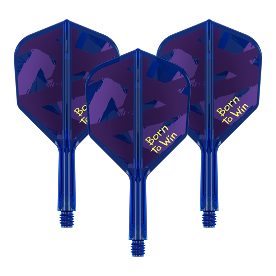 Target K-Flex Luke Littler Born To Win World Champion No6 Flights