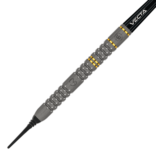 Das Bild zeigt einen Winmau Michael Van Gerwen Evo-X Softdart mit einem Gewicht von 20 Gramm. Der Dart hat ein markantes Design mit silbernen und goldenen Akzenten sowie der Aufschrift "VECTA".
