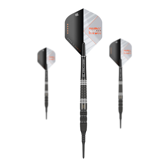 Target Raymond Van Barneveld RvB95 X Echo Softdarts