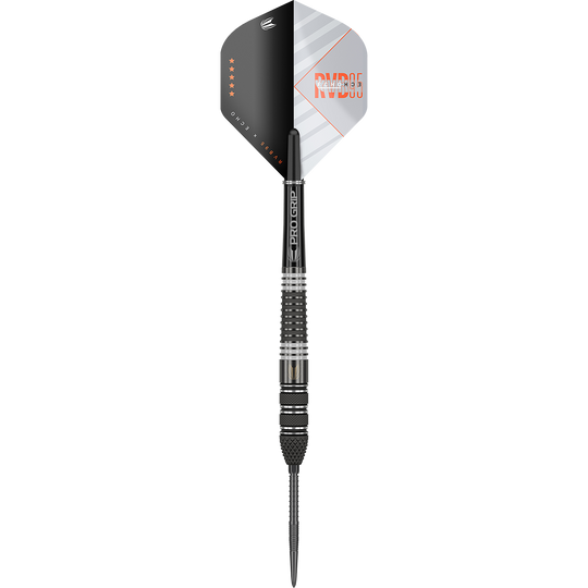 Target Raymond Van Barneveld RvB95 X Echo Swiss Point Steeldarts