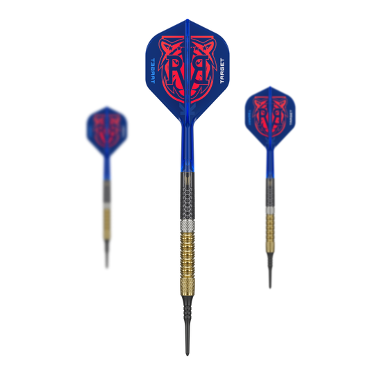 Target Raymond Van Barneveld GEN6 soft darts Das Bild zeigt das Target Raymond Van Barneveld GEN6 Softdarts Set. Alle enthaltenen Darts und Zubehörteile sind zusammen zu sehen.