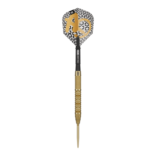 Das Bild zeigt die Target Bolide Envy 01 Swiss Point Steeldarts. Diese Darts sind für anspruchsvolle Dartspieler geeignet.