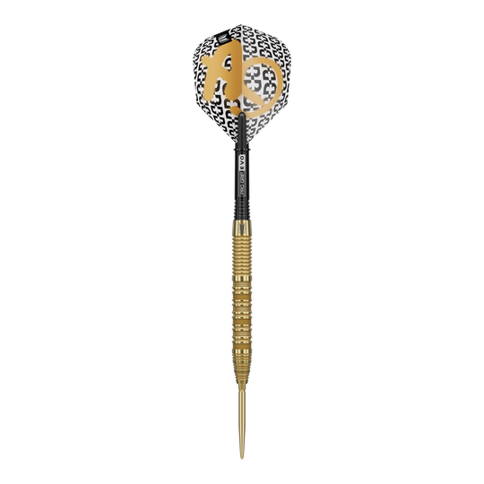Target Bolide Envy 01 Swiss Point steel darts Das Bild zeigt die Target Bolide Envy 01 Swiss Point Steeldarts. Diese Darts sind für anspruchsvolle Dartspieler geeignet.