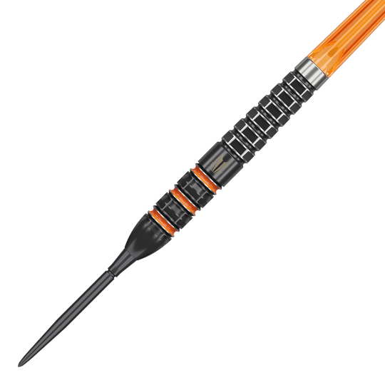Target Raymond Van Barneveld 95K Swiss Points Steel Darts