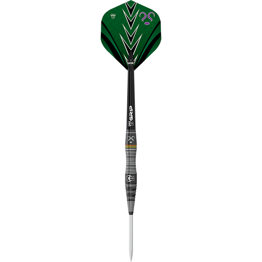 Bull&#39;s Brian Raman The Riddler Steel darts