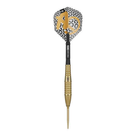 Gezeigt werden die Target Bolide Envy 05 Swiss Point Steeldarts. Die Darts sind detailliert abgebildet und heben das moderne Design hervor.