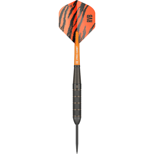 Target Raymond Van Barneveld Brass Steel darts - 22g